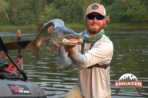 Muskellunge Caught in St Croix River Wi